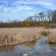 Scuppernong Springs Nature Trail