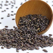 Black Barley