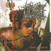 Cicatrix - Eviscerated