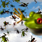 Frog Fall