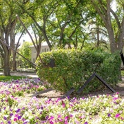 Reginald the Grasshopper