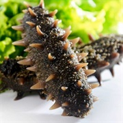 Japanese Spiky Sea Cucumber (Apostichopus Japonicus)