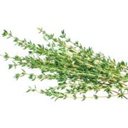 Thyme