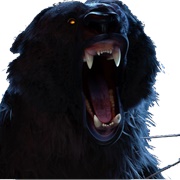 Mor'du  Wasnt Originally a Bear(Brave)