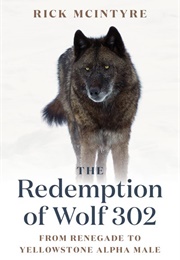 The Redemption of Wolf 302 (Rick McIntyre)