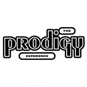 The Prodigy – Out of Space