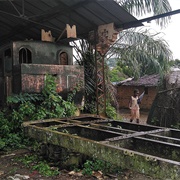 Zinga, Central African Republic