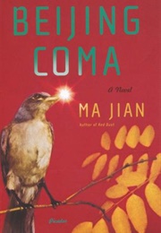 Beijing Coma (Ma Jian)