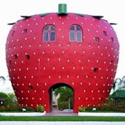 Strawberry Home, Bom Princípio City, Brazil