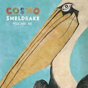 Pelicans We - Cosmo Sheldrake
