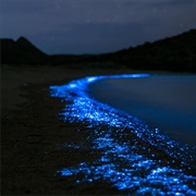 Sea of Stars, the Maldives