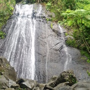 La Coca Falls (El Yunque National Forest), Puerto Rico