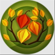 November Accessories 2022