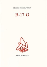 B-17G (Pierre Bergounioux)