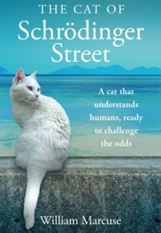 The Cat of Schrödinger Street (William Marcuse)