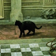 Déjà Vu Cat (The Matrix, 1999)