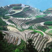 Longji Rice Terraces, China