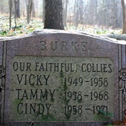 Happy Woodlawn Pet Cemetery