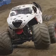 Monster Mutt Dalmatian