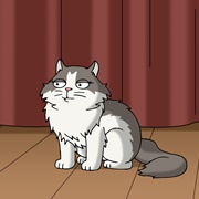 Pouncey the Talking Cat