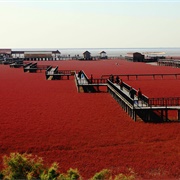Red Sea Beach, China