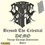 Cryptic Shift - Beyond the Celestial