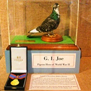 G.I. Joe (Permanently Closed)