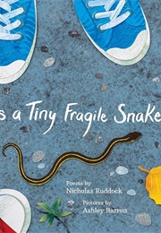 This Is a Tiny Fragile Snake (Nicholas Ruddock)