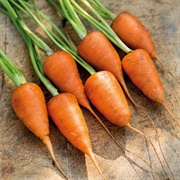 Chantenay Carrots