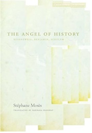 The Angel of History: Rosenzweig, Benjamin, Scholem (Stephane Moses)