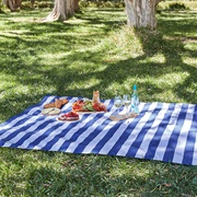 Picnic Blanket