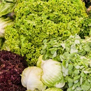 Lettuce