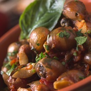 Green Garden Snail (Cantareus Apertus)