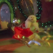 Vacuum Cat (How the Grinch Stole Christmas, 2000)