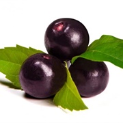 Acai Extract