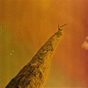 Frederic D. Oberland / Grégory Dargent / Tony Elieh / Wassim Halal - SIHR