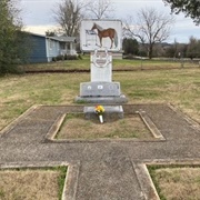 Grave of Beautiful Jim Key