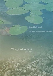 We Agreed to Meet Just Here (Scott Blackwood)