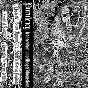 Purulency - Transcendent Unveiling of Dimensions