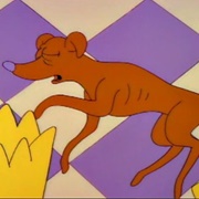 S3.E19: Dog of Death