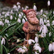 Lampy the Garden Gnome