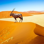 Namib Desert, Namibia