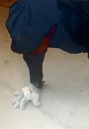 Everybody's Work Is Equally Important (Latoya Ruby Frazier) (2011)