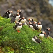 Mykines, Faroe Islands