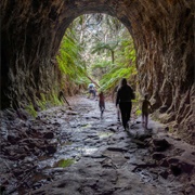 Newnes Glow Worm Tunnel