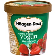 Häagen-Dazs Strawberry Frozen Yogurt