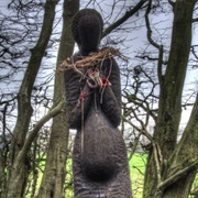 The Lady in the Woods