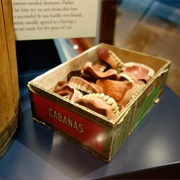 Weaver Historical Dental Museum