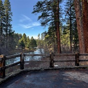 Head of the Metolius