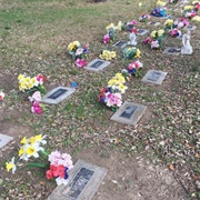 Memorial Park at UT Health Science Center